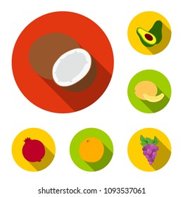 Different fruits flat icons in set collection for design. Fruits and vitamins vector symbol stock web illustration.