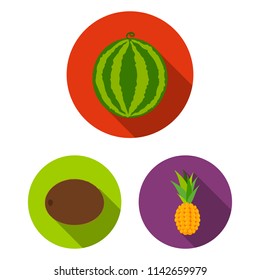 Different fruits flat icons in set collection for design. Fruits and vitamins vector symbol stock web illustration.