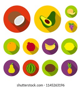 Different fruits flat icons in set collection for design. Fruits and vitamins vector symbol stock web illustration.