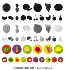 Different fruits flat icons in set collection for design. Fruits and vitamins vector symbol stock web illustration.