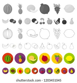 Different fruits flat icons in set collection for design. Fruits and vitamins vector symbol stock web illustration.