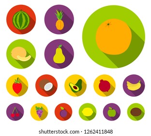 Different fruits flat icons in set collection for design. Fruits and vitamins vector symbol stock web illustration.