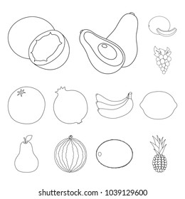 Different fruits outline icons in set collection for design. Fruits and vitamins vector symbol stock web illustration.