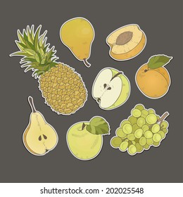 Different fruits set isolated . Vector illustration