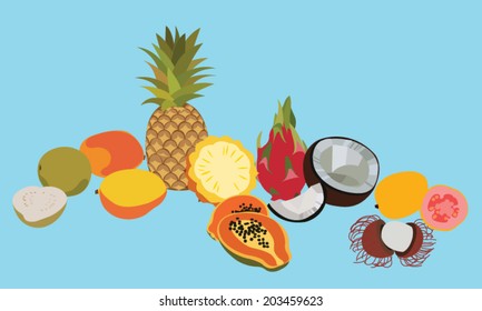 Different fruits Tropical fruits illustration. Exotic Isolated fruits set on blue background.