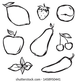 Different fruits in vector. Uneven drawn by hand. 