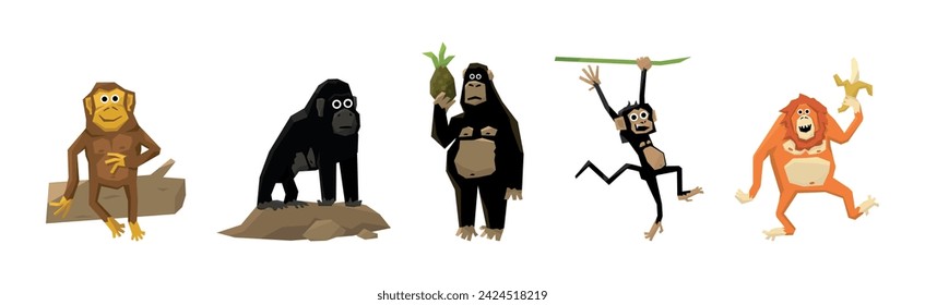 Different Funny Monkey and African Primates Vector Set