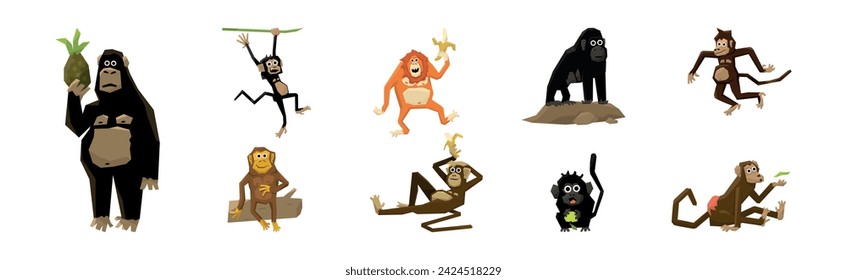 Different Funny Monkey and African Primates Vector Set