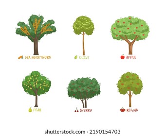 Different Garden Berry Shrubs Sort with Name Inscription Vector Set
