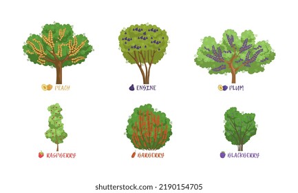 Different Garden Berry Shrubs Sort with Name Inscription Vector Set