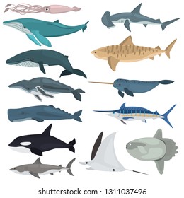 Different giant ocean dwellers color vector icons set. Flat design