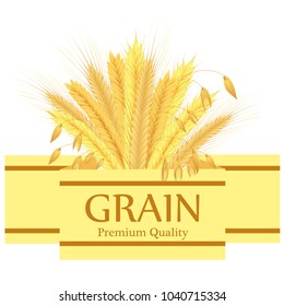 Different grain and cereals frame. Horizontal label. seeds and plants. For cooking, bakery, tags, labels, textile