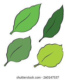 different green leaves
