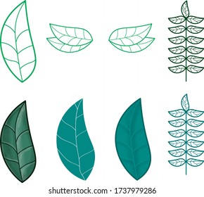 Different green leaves design elements. Set of floral vector illustrations. Simple minimalistic and realistic leaf. 