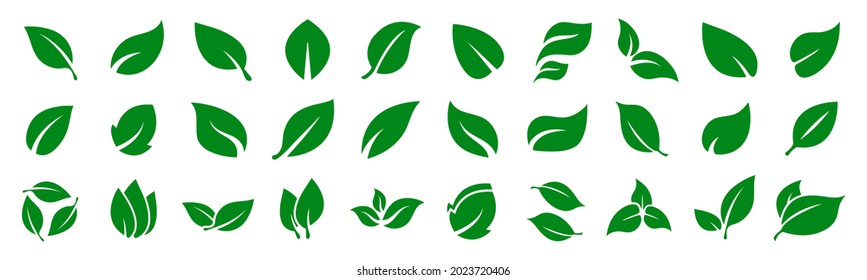 Diferentes hojas verdes aisladas en blanco. Colección de iconos del vector de hoja verde para el diseño.