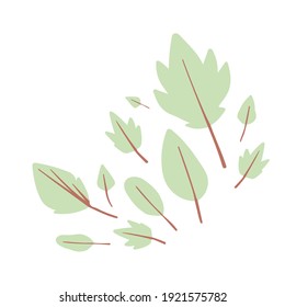 Different green leaves vector flat style. Botanical elements set, composition of tree leaves, plants, foliage. Leaf clipart. 