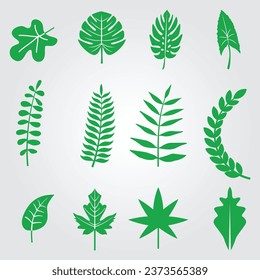 Different Green Leaves vector Set