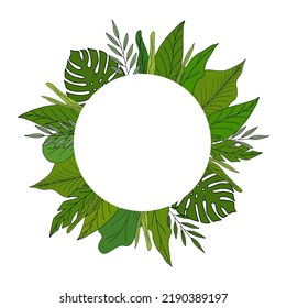 different green leaves with white round frame
