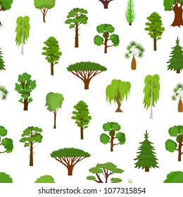 Different Green Tree Types Seamless Pattern Background Include of Elm, Birch, Eucalyptus, Cedar, Dracaena, Oak and Pine Icons Set. Vector illustration of Various Type Wood