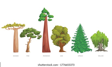 Different Green Trees Set. Cartoon Trendy Style. Baobab, Pine, Redwood, Oak, Spruce And Willow. Vector Illustrations Collection Isolated On White.