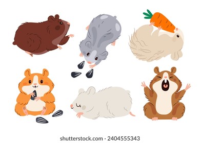 Verschiedene Hamsterrassen. Hübsche Haustiere. Langhaarige und kurzhaarige Tiere. Dzungarische, angora und chinesische Nagetiere. Adorable Säugetiere fressen Samen und Karotten. Cartoon-Zeichen