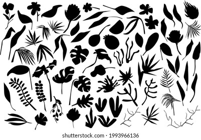 different hand drawn abstract  modern art  plants, flowers quirky branches and leaves elements, silhouette graphics set in black color, vector illustration