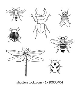 Different hand drawn doodle isolated insects. Vector illustration