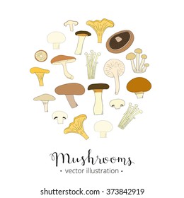 Different hand drawn edible mushrooms composed in circle shape. King trumpet, chanterelle, white button, shiitale, enoki, portobello, crimini, oyster, beech.