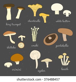 Different hand drawn edible mushrooms isolated on the blackboard. King trumpet, chanterelle, white button, shiitale, enoki, portobello, crimini, oyster, beech.