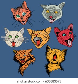 Different Hand Drawn Heads Cat.