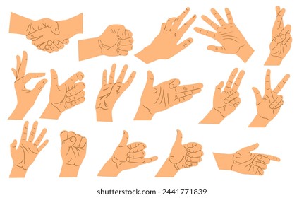 Different hand gestures isolated on white background. Vector flat illustration of female hands in various situations. Design elements set  for infographics, web, internet, presentation.