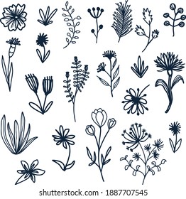 Different handdrawn floral elements seperatly as collection without background.