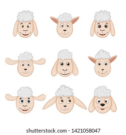different heads of sheep without horns. cartoon animals.