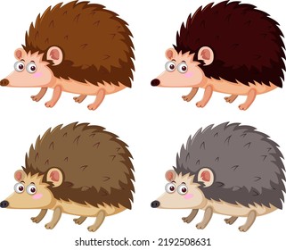 Different hedgehogs in cartoon style illustration