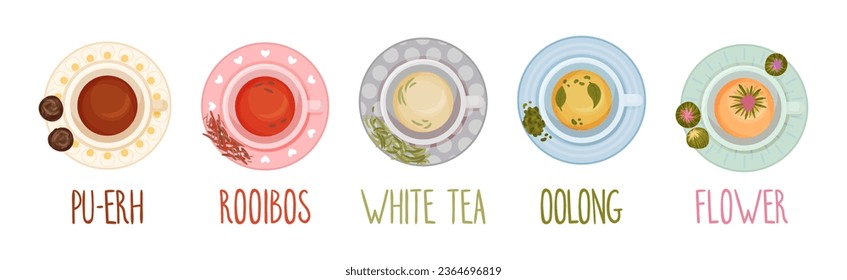 Different Herbal Tea Brewing in Cup Above View Vector Set