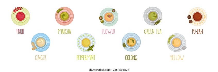 Different Herbal Tea Brewing in Cup Above View Vector Set