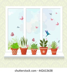 different herbs planted in ceramic pots on a windowsill for your design