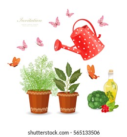 different herbs planted in flowerpots and fresh vegetables on white background with watering can