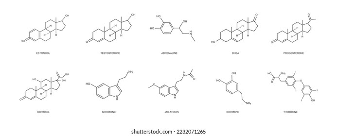 Different hormons icons set. Estradiol, progesterone, testosterone, adrenaline, DHEA, cortizol, dopamine, serotonin, melatonin, thyroxine chemical molecular structure. Vector outline illustration