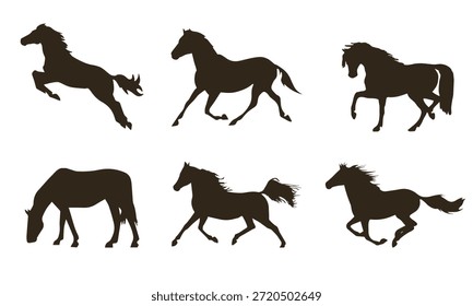 Diferentes posiciones y movimientos del caballo.