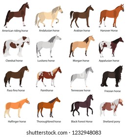 7,726 Horse Breeding Stock Vectors, Images & Vector Art | Shutterstock