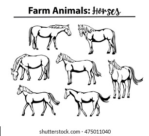 Different horses Set in Contour