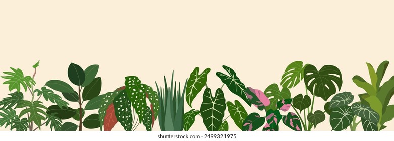 Different house plants banner. Lush garden, leaf greenery. Hand drawn vector illustration isolated on light background, modern flat cartoon style.