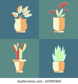 Different house plants in flowerpots, in a flat style.