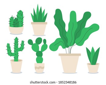 Different houseplants flat color vector objects set. Decoration for home office. Flower in container. Variety of potted plants 2D isolated cartoon illustrations on white background