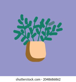 Different houseplants flat color vector objects 