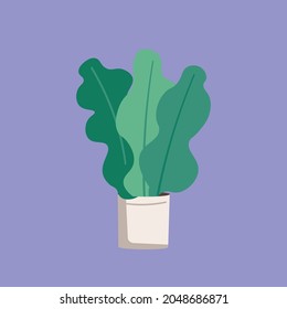 Diferentes plantas de hogar objetos vectoriales de color plano 