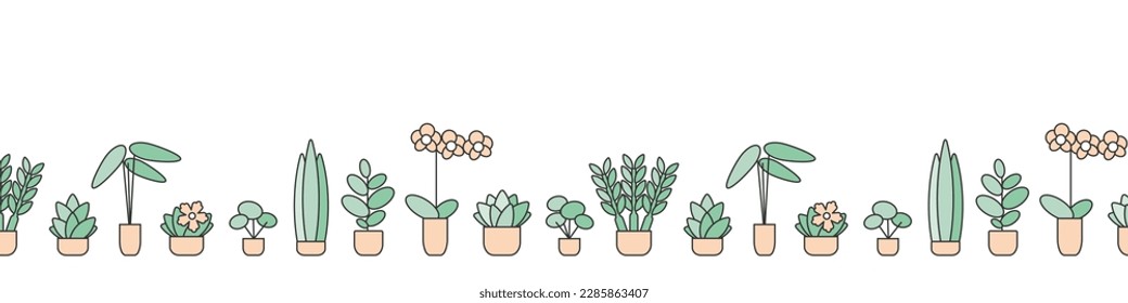 Diferentes plantas domésticas, vectores de selva interior sin costura. Diferentes orquídeas floridas, plantas de macetas suculentas y tropicales en un diseño de huella de fila.