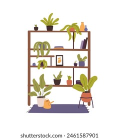 Different houseplants on wooden floral shelves. Flowers growing in pots, plants in flowerpots. Green decor for house. Home garden, planter. Flat isolated vector illustration on white background