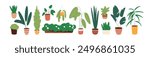 Different houseplants set. Home flower with green leaves. House plants with big and small foliage in flowerpots. Various floral interior decoration in pots. Flat isolated vector illustrations on white